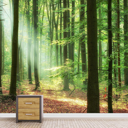 IDEA4WALL Peel & Stick Clear Wall Mural Wayfair